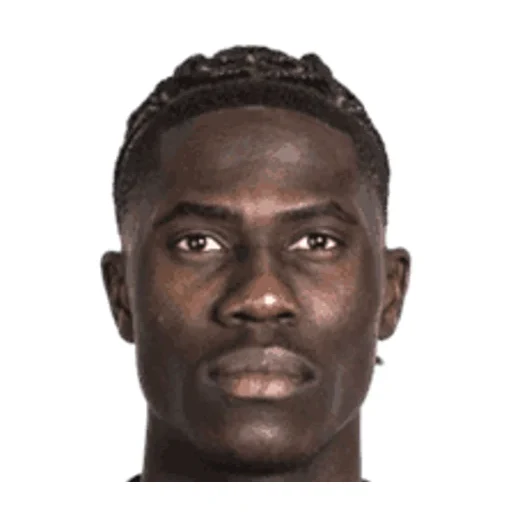 Amadou Onana - Belgium player photo