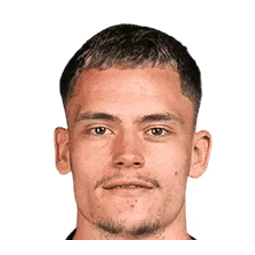 Florian Wirtz - Germany player photo