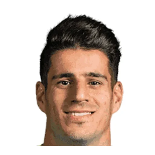Payam Niazmand - IR Iran player photo