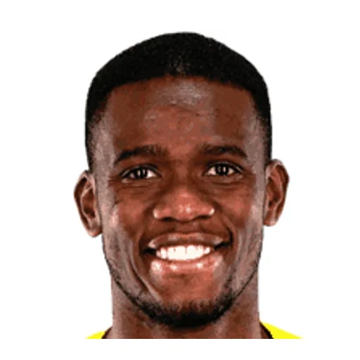 Sphephelo Sithole - South Africa player photo