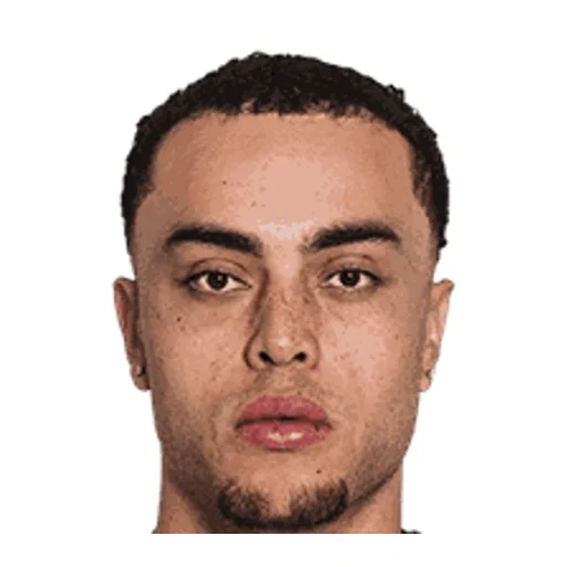 Sergino Dest - USA player photo