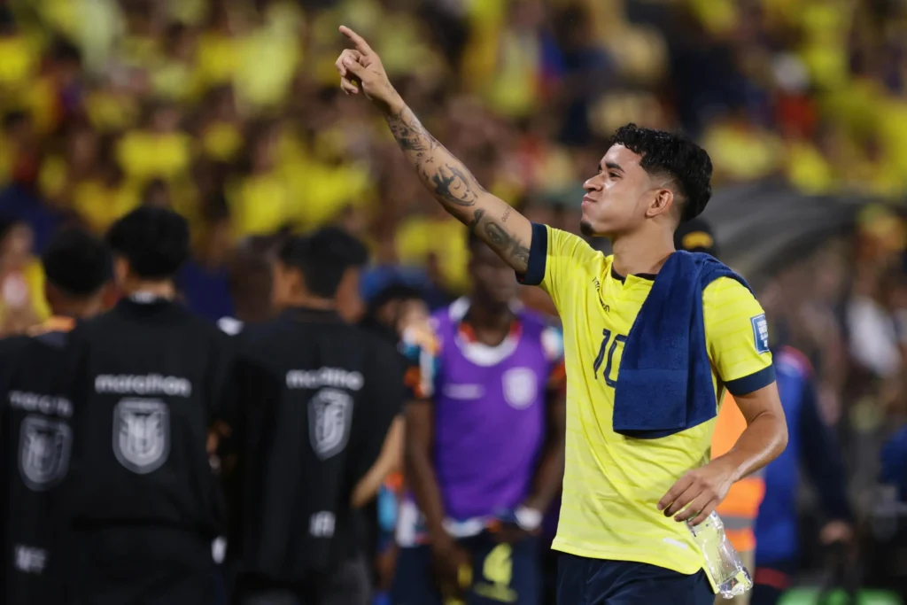 Ecuador injury tracker image